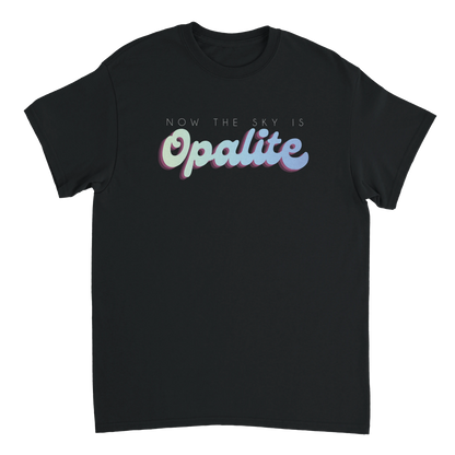 4893e303-09a3-4d45-b29c-3c70445002e3