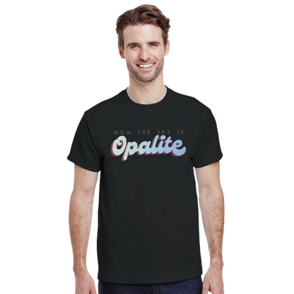 b2e4c1e0-e269-4882-8841-47afd10c73bb