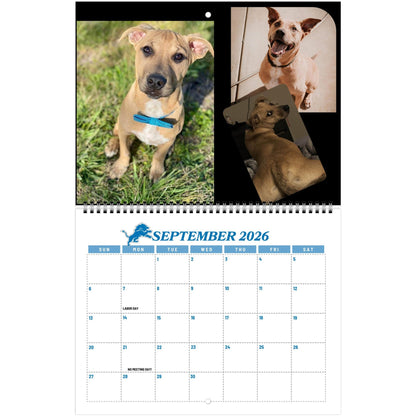 c29e8901-02e6-469d-817f-9014eded54c4