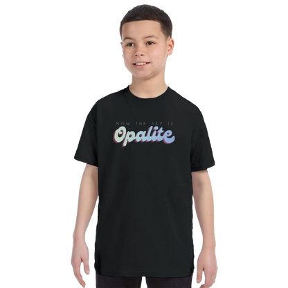 cef5f751-f539-4abc-a826-0f4153bc14cd