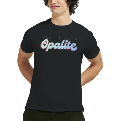 d6978f18-bde6-48ce-8ea0-49749d7debc2