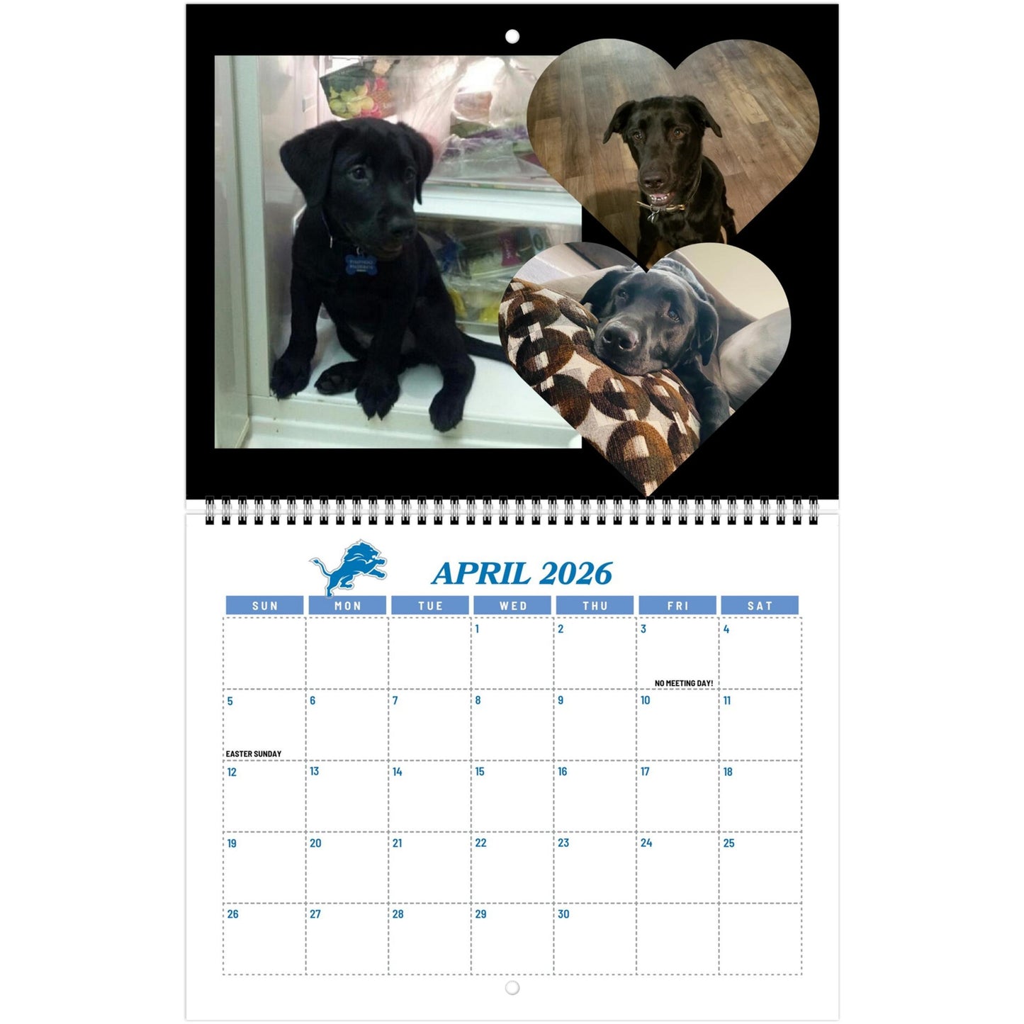 fd36584e-e25e-4749-ae0e-b6637e403671